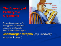 PowerPoint Presentation - Ch 11 The Diversity of