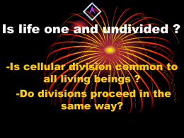 Mouvement et division cellulaire