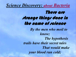A Research Tale: about Bacteria