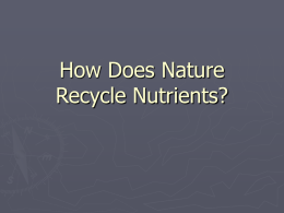 How Does Nature Recycle Nutrients?