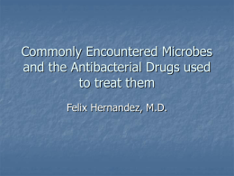 Commonly Encountered Microbes and the Antibacterial Drugs