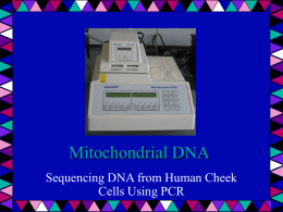 Mitochondrial DNA - Winona Senior High School