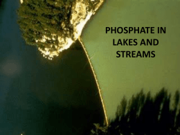 PHOSPHATE IN LAKES AND STREAMS