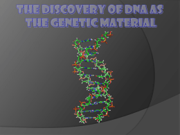The Discovery of DNA