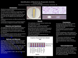 Identification of Bacteria by Enzymatic Activitiy Courtney