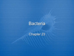 Bacteria - science4warriors