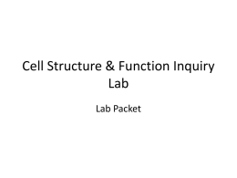 Cell Structure & Function Inquiry Lab