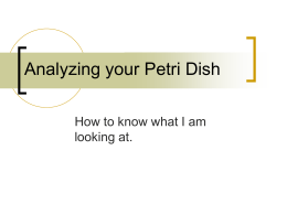 Analyzing your Petri Dish - Kent City School District