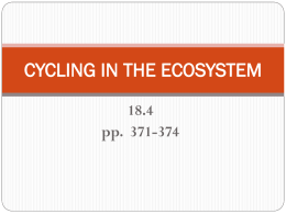 CYCLING IN THE ECOSYSTEM