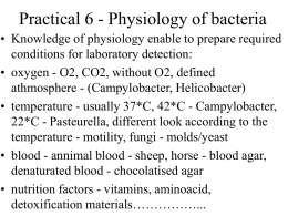 Practical 6 - Physiology of bacteria