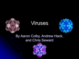 Viruses - The Fenn School