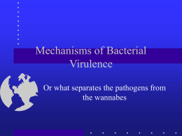 Mechanisms of Bacterial Virulence