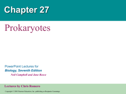 27- prokaryotes text