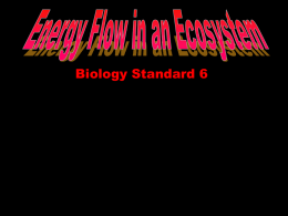 Energy Flow and Nutrients in an Ecosystem