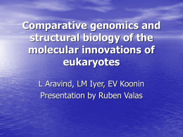 Comparative genomics and structural biology of the