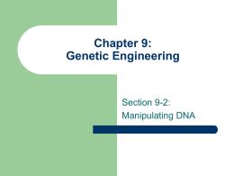 Chapter9 (and Section 8-4): Genetic Engineering