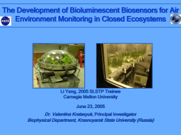 The Development of Bioluminescent Biosensors for Air