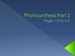 Photosynthesis Part 2