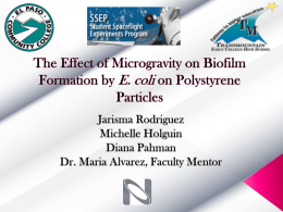 The Effect of Microgravity on Biofilm Formation by E. coli