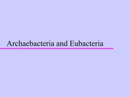 Archaebacteria - Nutley Public Schools