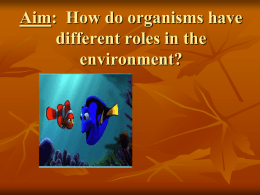 What type of ecological organization do you see in the pictures?