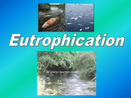 What is Eutrophication??