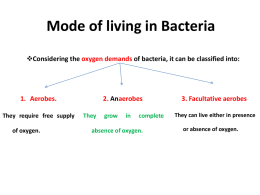Mode of living in Bacteria