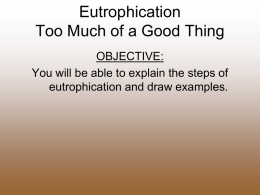 Eutrophication Too Much of a Good Thing