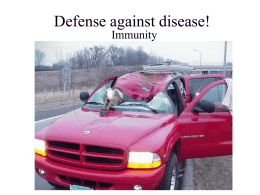 Defense against disease!