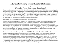 a.curious.relationship.between.E.coli