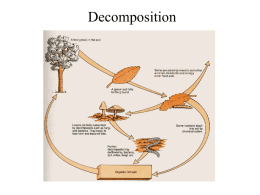 Decomposition and Biogeochemistry - Powerpoint for Nov. 12.