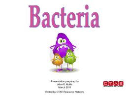 Food Bacterial Growth Powerpoint