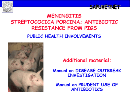 Swine streptococcic meningitis