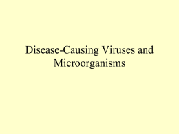 A40-Disease Causing Organisms