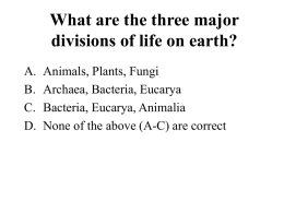 What are the three major divisions of life on earth?