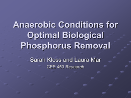 Anaerobic Conditions for Optimal Biological