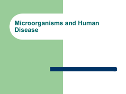 Microbes = Microorganisms