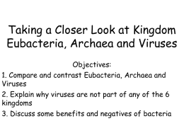 Taking a Closer Look at Kingdom Eubacteria, Archaea and (if we
