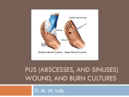 Pus, Wound and Burn cultures