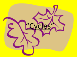 Cycles in Nature - Holy Family Regional School