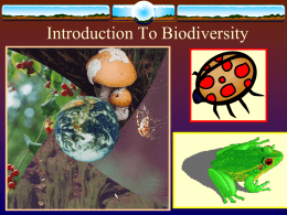 Introduction To Biodiversity