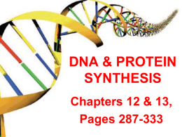 DNA Notes Part 1