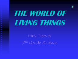 THE WORLD OF LIVING THINGS
