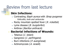 Bacterial Infections of Wounds