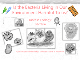 Bacteria in Environment Presentation