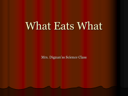 Notes: Food Webs - Highline Public Schools