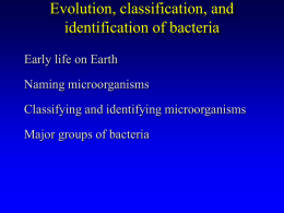 Evolution, classification, and identification of bacteria