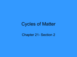 Chapter 21 Section 2 Powerpoint