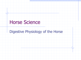 Horse Science - Glen Rose FFA