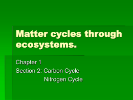 Matter cycles through ecosystems.